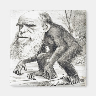 Redactie Cartoon van Charles Darwin 1871 Magneet