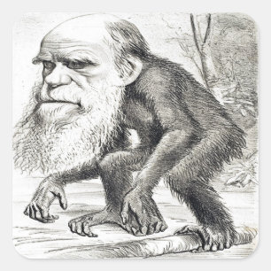 Redactie Cartoon van Charles Darwin 1871 Vierkante Sticker