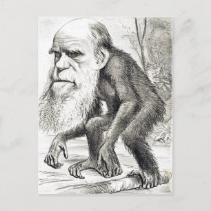Redactionele Cartoon van Charles Darwin 1871 Briefkaart