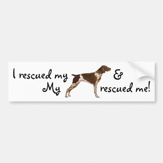 Redactionele Duitse Shorthaired Pointer Bumpersticker (Voorkant)