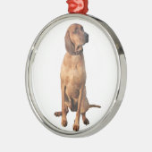 Redbone Coon Hound (A) Metalen Ornament (Links)
