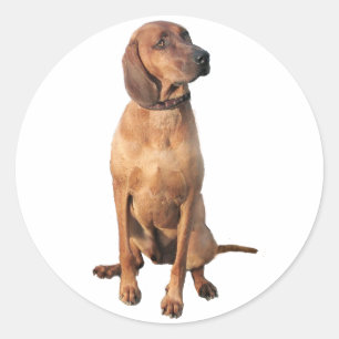 Redbone Coon Hound (A) Ronde Sticker