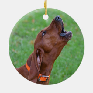 Redbone Coonhound Keramisch Ornament
