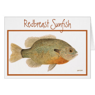 Redborst Sunfish Card