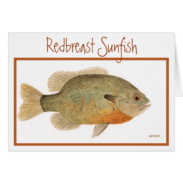 Redborst Sunfish Card (Voorkant Horizontaal)