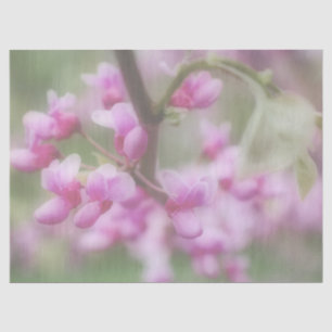Redbud Blossom Tissuepapier