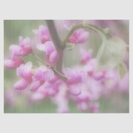 Redbud Blossom Tissuepapier (Voorkant)