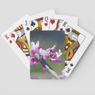 RedBud Pokerkaarten