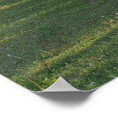 Redbud Tree - El Dorado Lake Kansas Poster (Hoek)