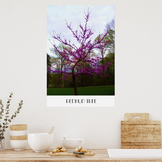 REDBUD TREE poster (Keuken)