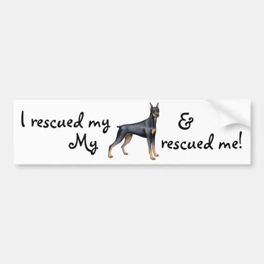 Redding Doberman Pinscher Bumpersticker (Voorkant)