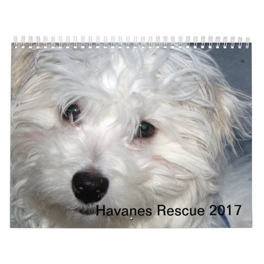 Redding Havanese Pups 2014 Agenda Kalender (Hoes)