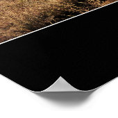 Redding: Inspirerend Citaat 1 Poster (Hoek)