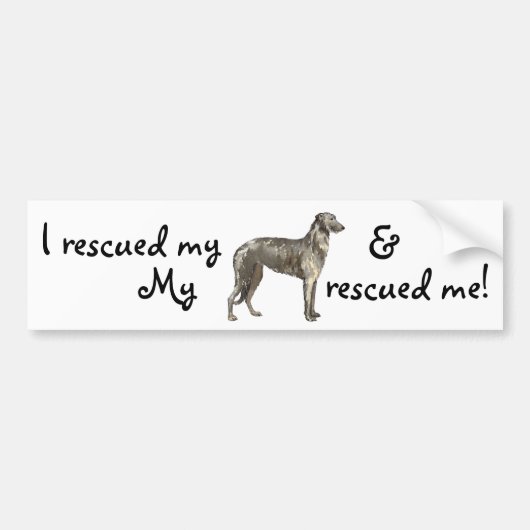 Redding Scottish Deerhound Bumpersticker (Voorkant)