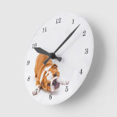 Reddingsboxer Puppy Ronde Klok (Hoek)