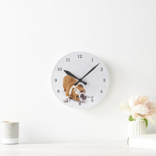 Reddingsboxer Puppy  Ronde Klok (Huis)