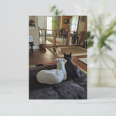 Reddingshonden 3,5" x 5" platte bedankkaart (Staand voorkant)