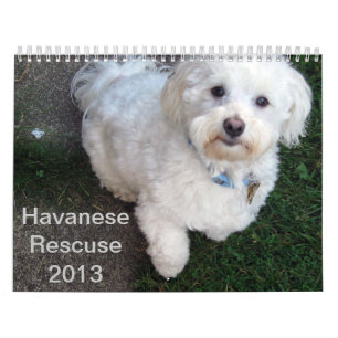 Reddingskalender voor Havanese Kalender