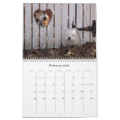 Reddingskalender voor Havanese Puppy 2012 Kalender (Feb 2026)