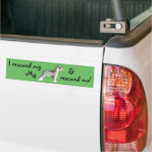 Reddingsminiatuur Schnauzer Bumpersticker (Op Truck)
