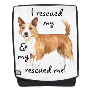 ReddingsPortugese Podengo Pequeno Rugtassen