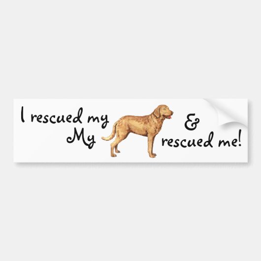 Reddingsservice Chesapeake Bay Retriever Bumpersticker (Voorkant)
