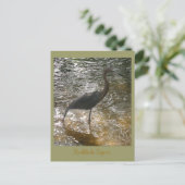 Reddish Egret Briefkaart (Staand voorkant)
