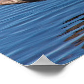 Reddish Egret Poster (Hoek)