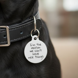 Reden dat we geen leuke dingen kunnen hebben met e huisdierpenning