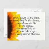 Redenen van het leven briefkaart (Voorkant / Achterkant)