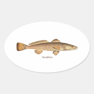 Redfish Ovale Sticker
