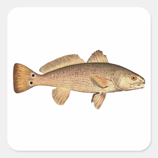 Redfish Vierkante Sticker (Voorkant)