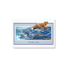 Redfox op het strand