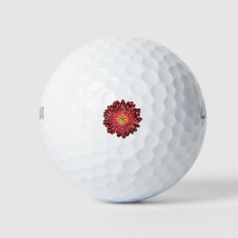 redgerberadaisy Red Gerbera Daisy Golfballen