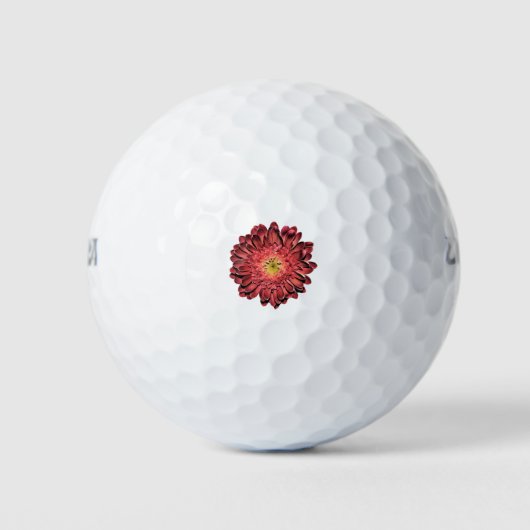 redgerberadaisy Red Gerbera Daisy Golfballen (Voorkant)