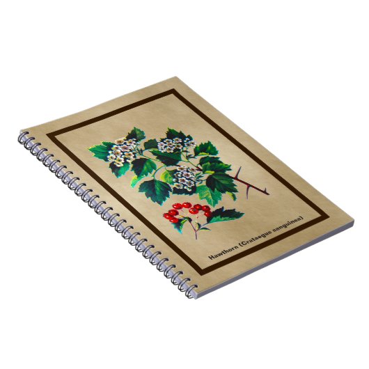 Redhaw Hawthorn op oud papier Notitieboek (Rechterzijde)