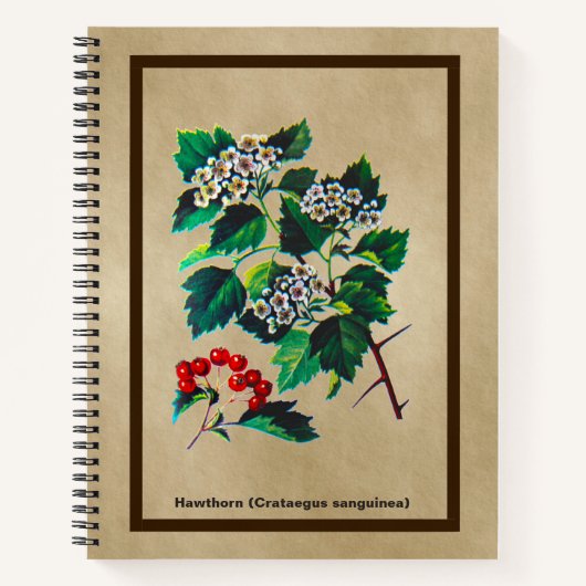 Redhaw Hawthorn op oud papier Notitieboek (Voorkant)