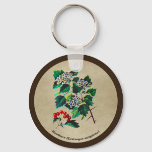 Redhaw Hawthorn op oud papier Sleutelhanger