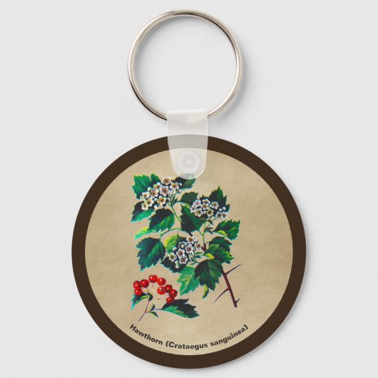 Redhaw Hawthorn op oud papier Sleutelhanger (Voorkant)