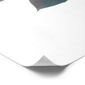 Redhead Cichlid Poster (Hoek)