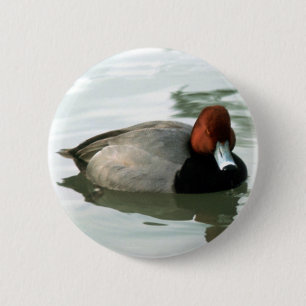 Redhead Drake (zonder titel) Ronde Button 5,7 Cm