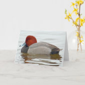 Redhead Duck Drake Kaart (Gele Bloem)