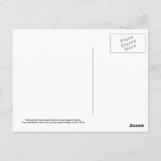 Redhead- en Canvasback-eenden Briefkaart (Achterkant)