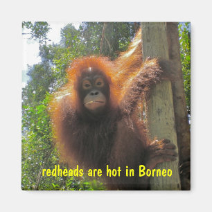 Redheadkosten zijn hete Humor Magneet