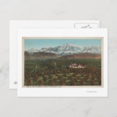 Redlands, CA - Mountain & Orchard Scene Briefkaart (Voorkant / Achterkant)