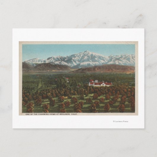 Redlands, CA - Mountain & Orchard Scene Briefkaart (Voorkant)