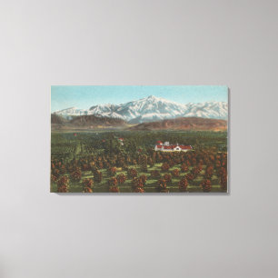 Redlands, CA - Mountain & Orchard Scene Canvas Afdruk