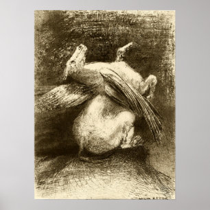 Redon - De Machteloze Vleugel (Dier Zwart Ruimte) Poster