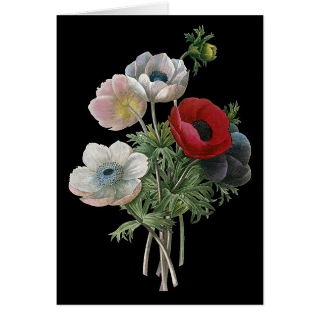 Redoute: Anemone, 1833 (Voorkant)