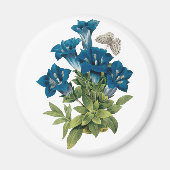 Redoute Blue Flower Magnet (Devant)